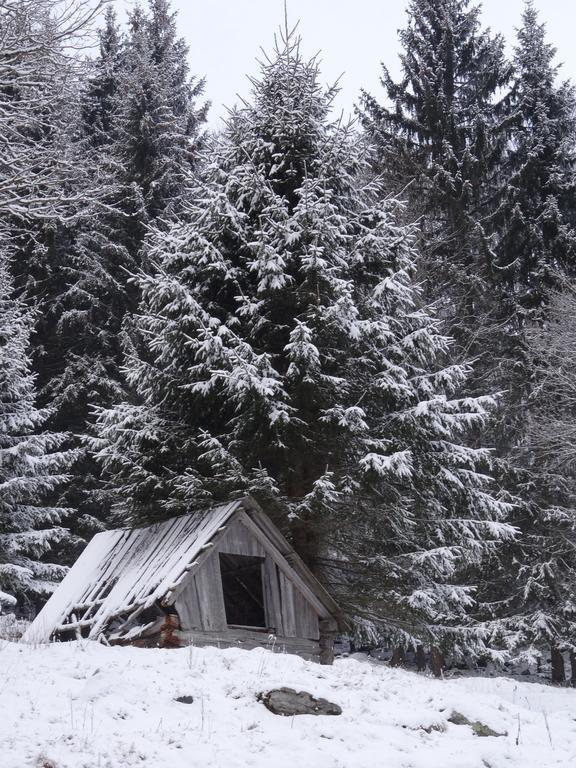 Rojerhof Villa Schladming Buitenkant foto