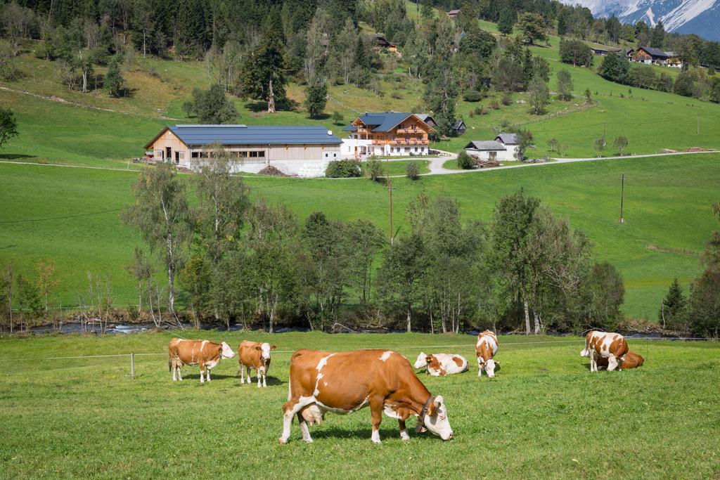 Rojerhof Villa Schladming Buitenkant foto