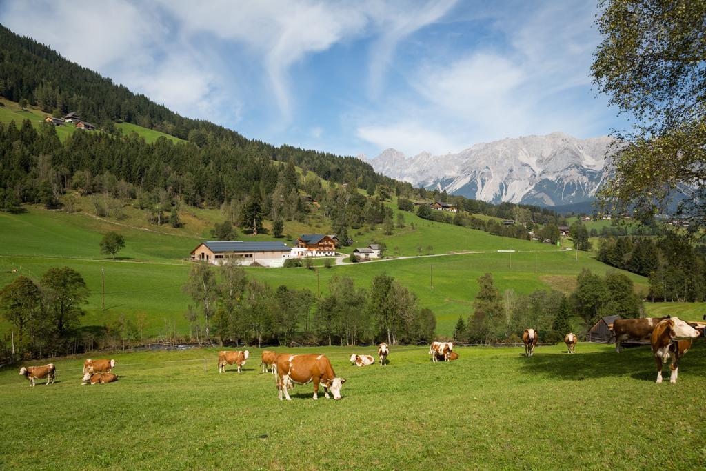 Rojerhof Villa Schladming Buitenkant foto